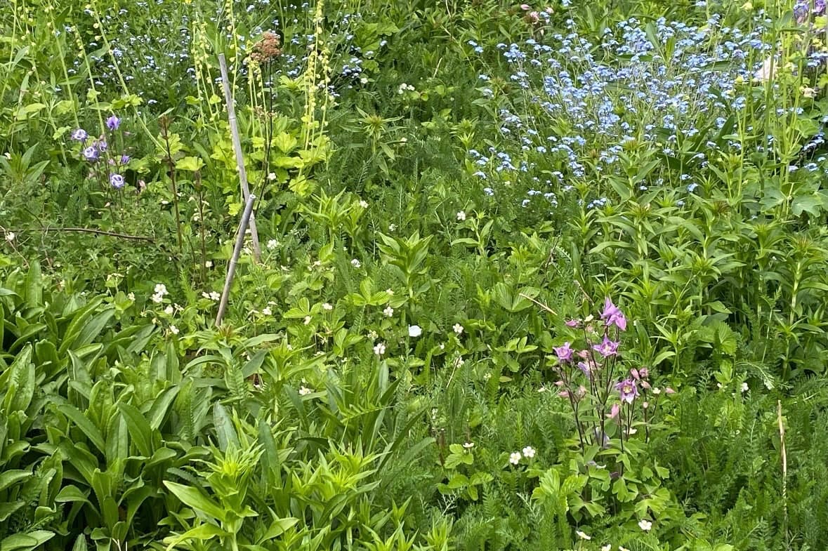 Creek's Edge Landscape 7