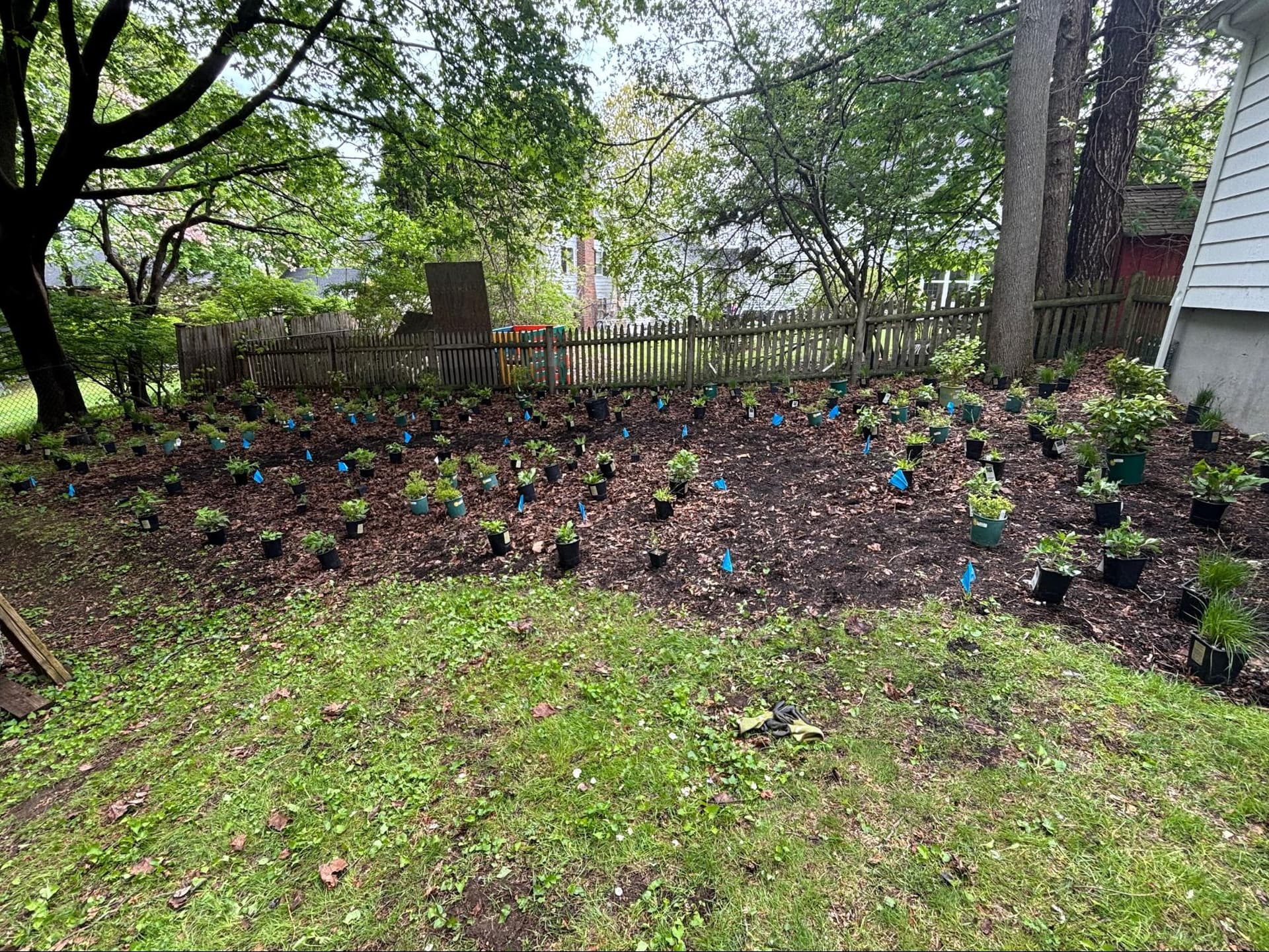 Native Plant Design
