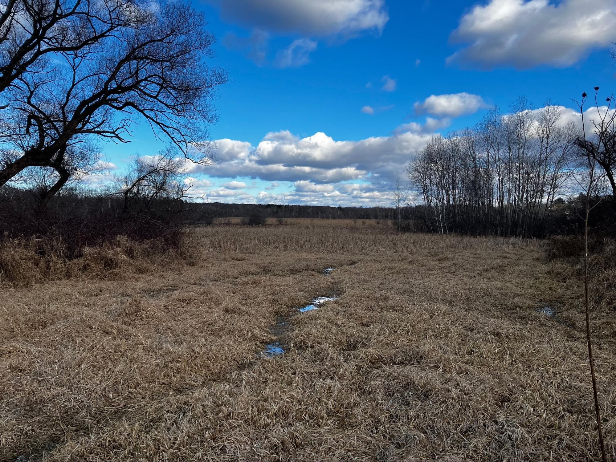 Creek's Edge Landscape 7