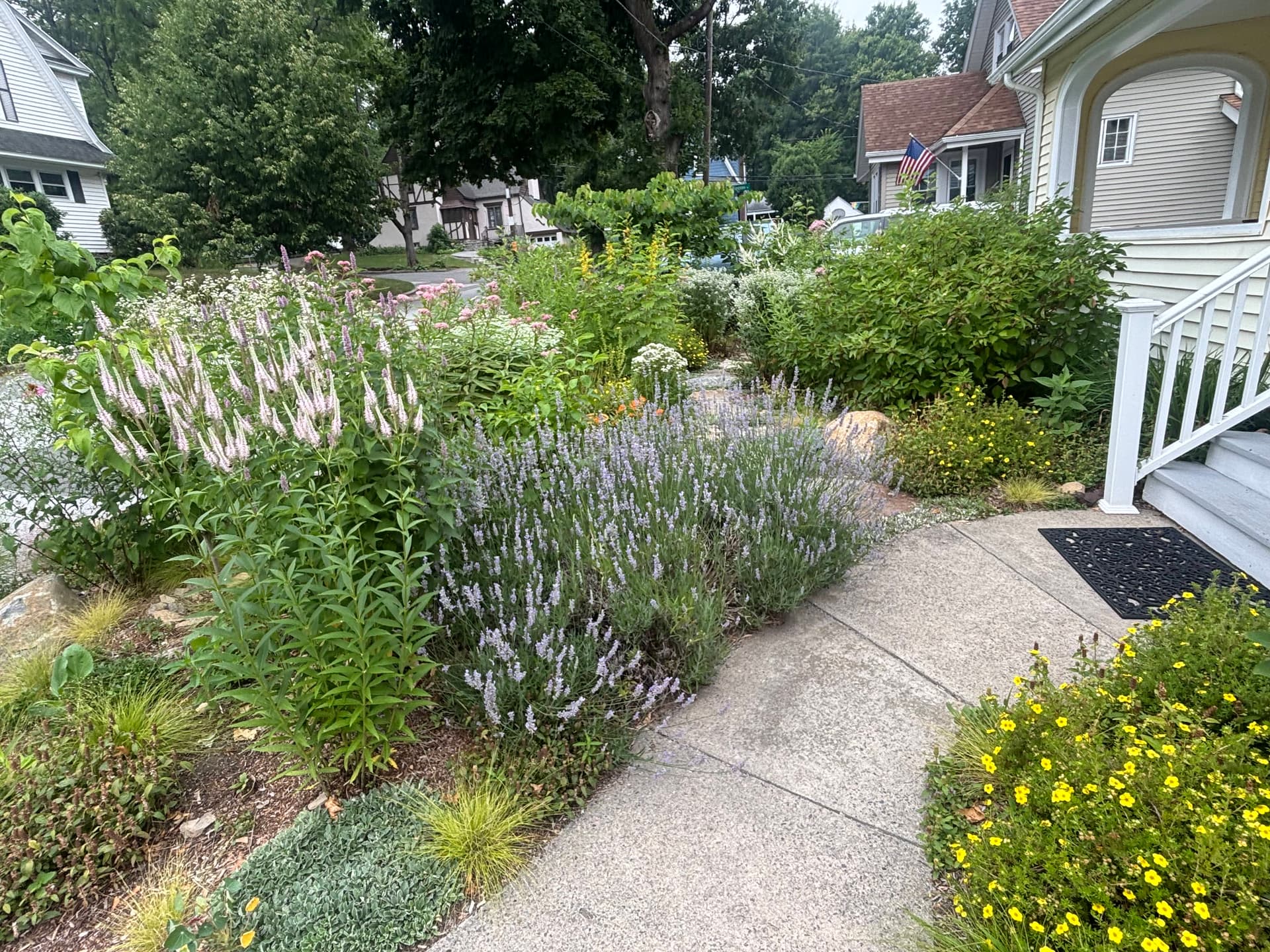 Ecological Garden Installation & Maintenance